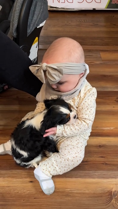 自分に体をくっつけてきた子犬の相手をする赤ちゃん