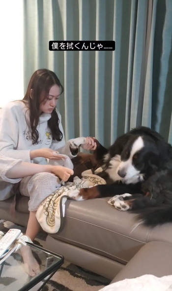 娘さんとデカワンコ