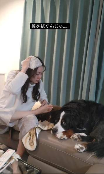 娘さんとデカワンコ