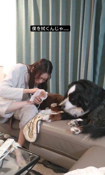 娘さんとデカワンコ