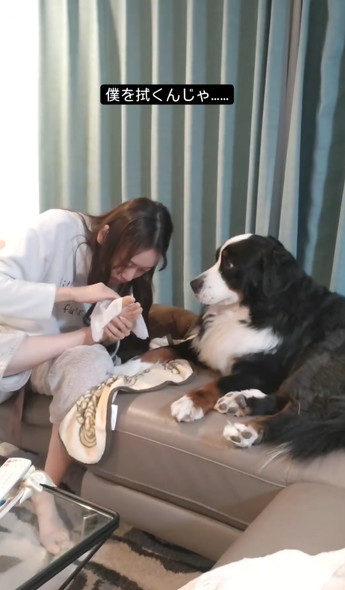 娘さんとデカワンコ