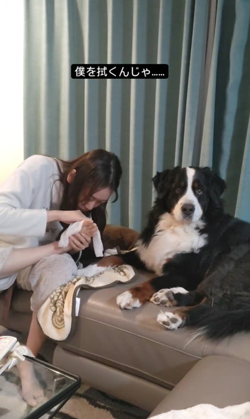 娘さんとデカワンコ