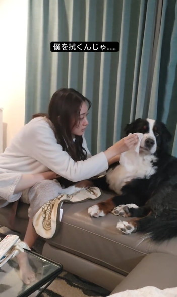 娘さんとデカワンコ