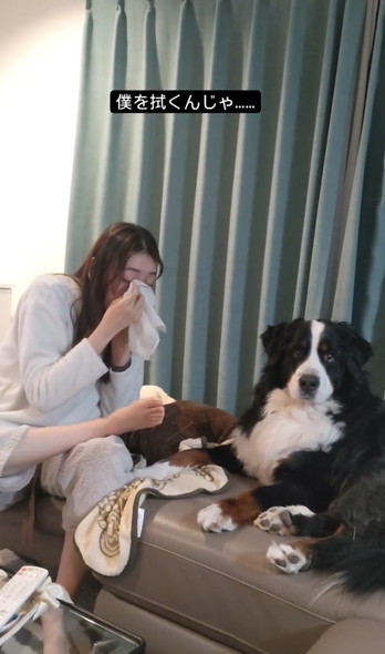 娘さんとデカワンコ