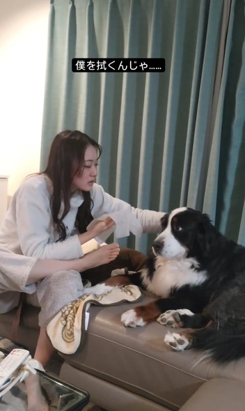 娘さんとデカワンコ