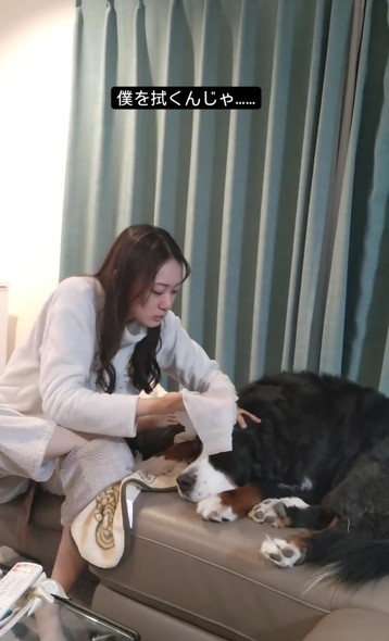 娘さんとデカワンコ