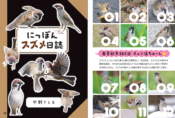 365日の“チュン活”