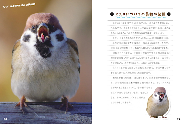 スズメについての最初の記憶は？