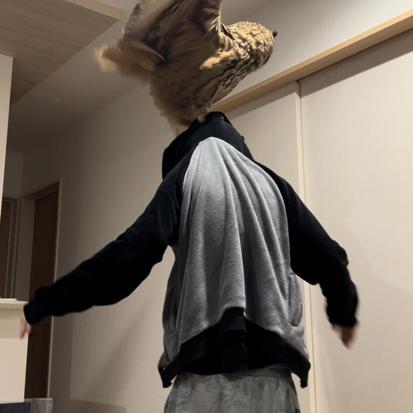 ミミズクに引っ張られている夫