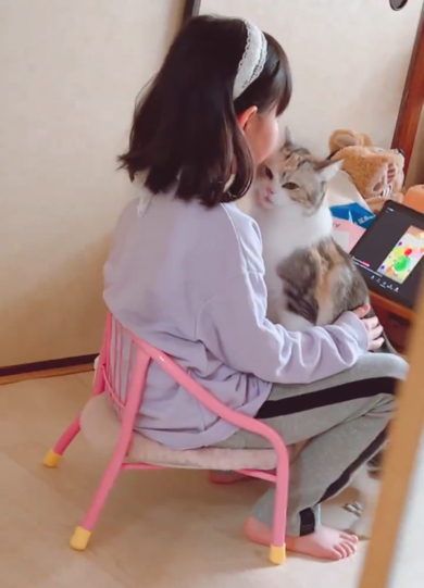 スコティッシュ