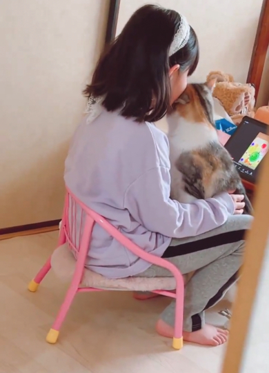 娘のほっぺにスリスリする猫