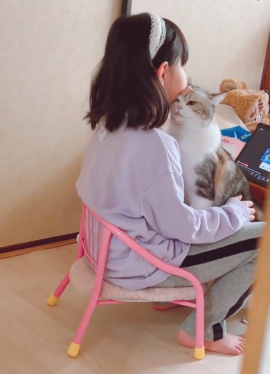 娘が出かける前にスリスリチャージ中の猫