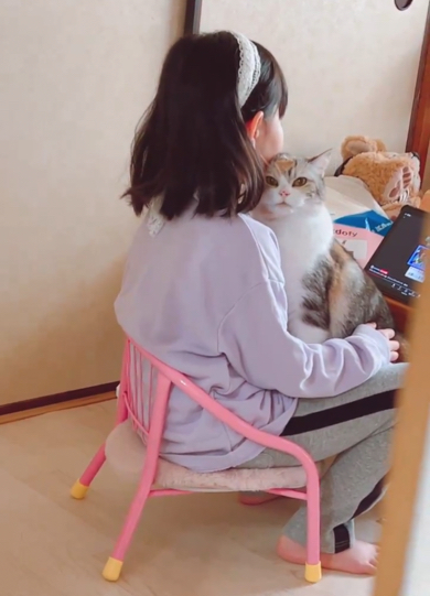 こちらの気配に気づいた猫