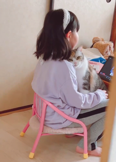 娘へのスリスリを止めない猫