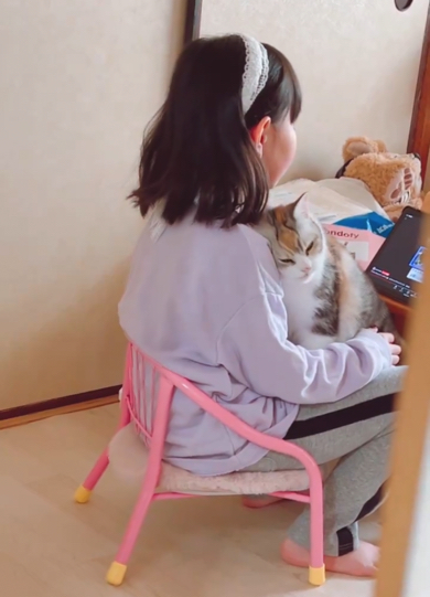 娘へのスリスリを満喫中の猫