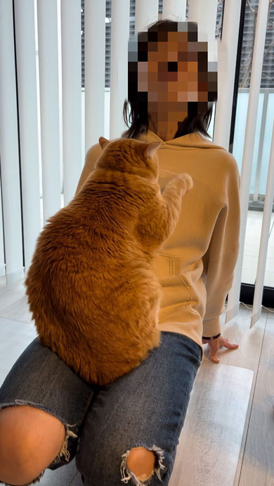 絶対に降りたくない猫と移動したい飼い主