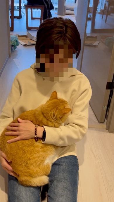 絶対に降りたくない猫と移動したい飼い主