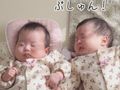 双子の赤ちゃん、姉が全力でくしゃみして……　被害にあった妹の反応に「生後3ヶ月でドリフのコントw」「めちゃどっちもカワイイ」と絶賛の声