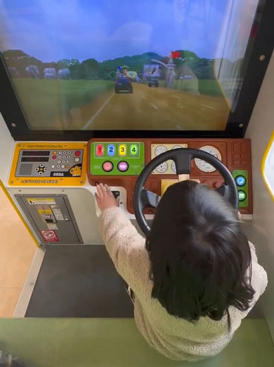 レッツゴーサファリ