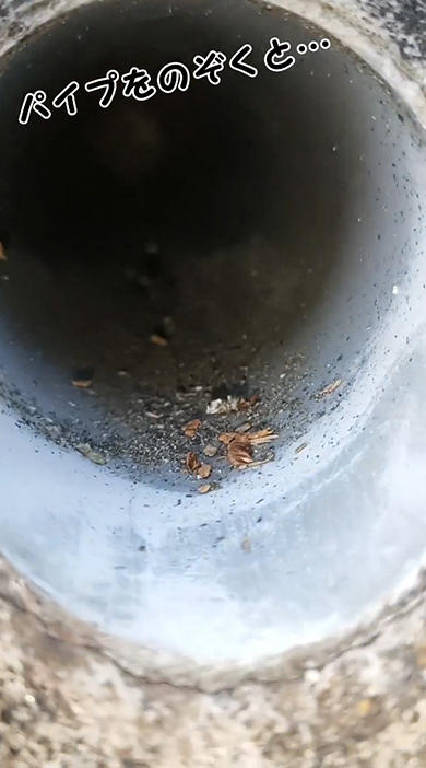 パイプを覗くと