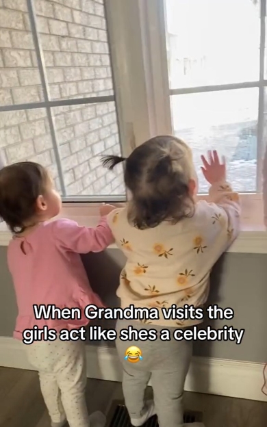 祖母を歓迎する双子の姉妹