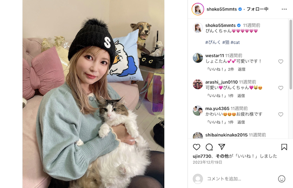 猫を抱く中川翔子