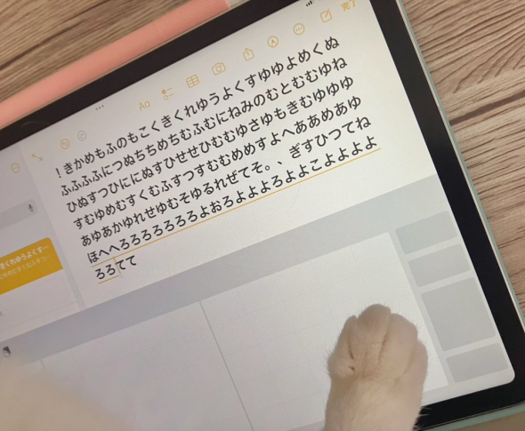 iPadの画面