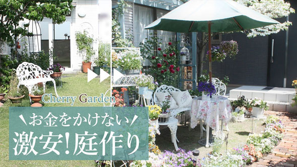 庭を激安DIY