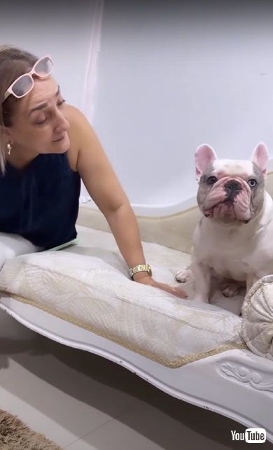 スペイン語を話すワンコ