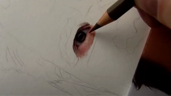 超写実主義 リアルな絵 ジム・キャリー