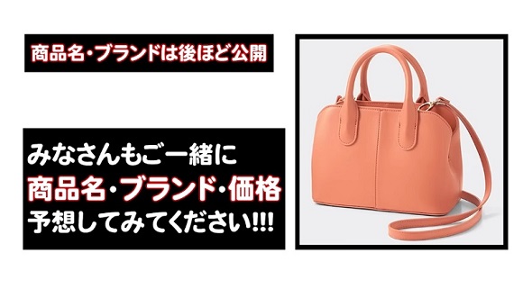 ブランド名を伏せた状態でレビューを行い、かばんの価格を予想する動画