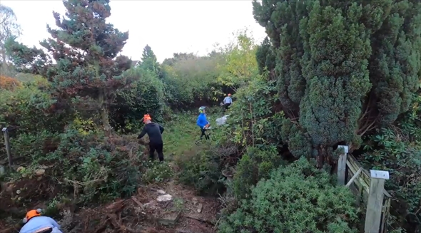 森林　開拓　タイムラプス　庭