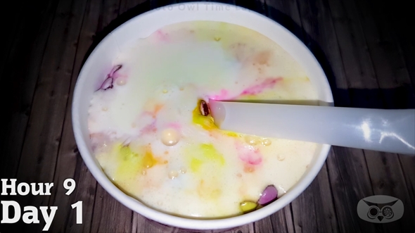 マックフルーリー　タイムラプス