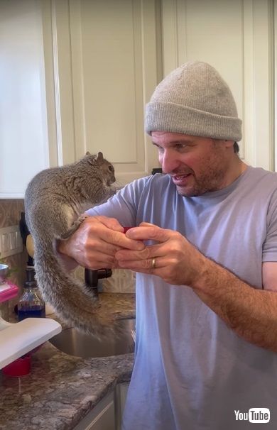 ナッツを食べるリス