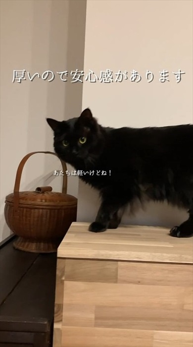 ニャンズのためのDIY