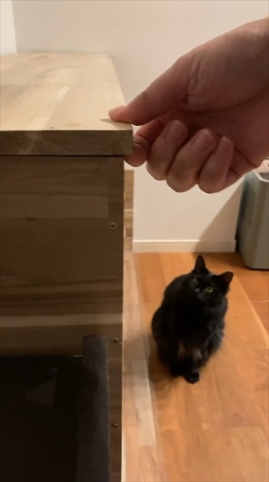 ニャンズのためのDIY