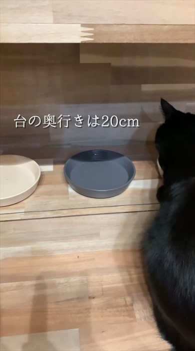 ニャンズのためのDIY