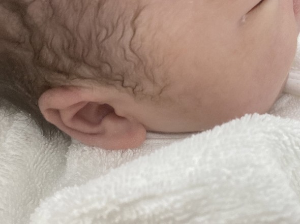 生まれたての赤ちゃん