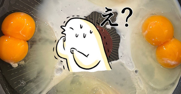 スーパーで普通の卵を購入→割ってみたら全て“双子卵”だった