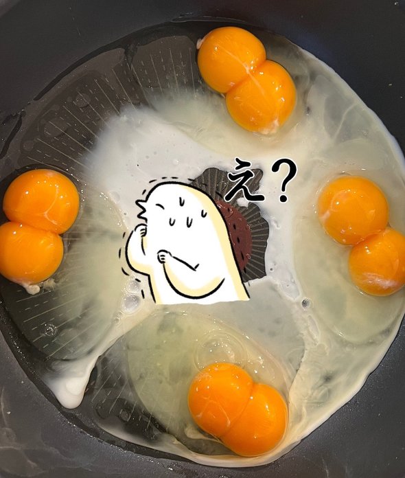 双子卵　ふるえるとり