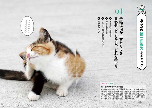 猫の写真から自分の内面が分かる『猫田博士の心理テスト』の第1問