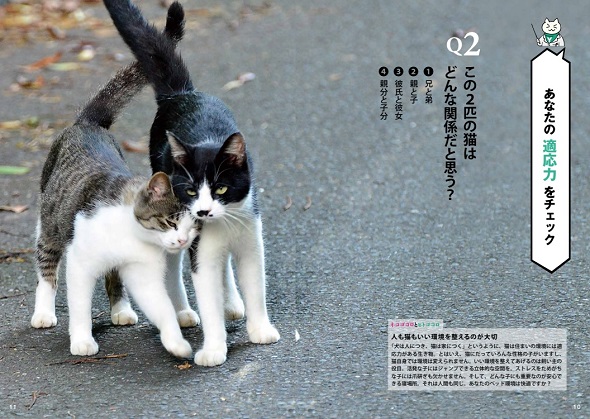 猫の写真から自分の内面が分かる『猫田博士の心理テスト』の第2問
