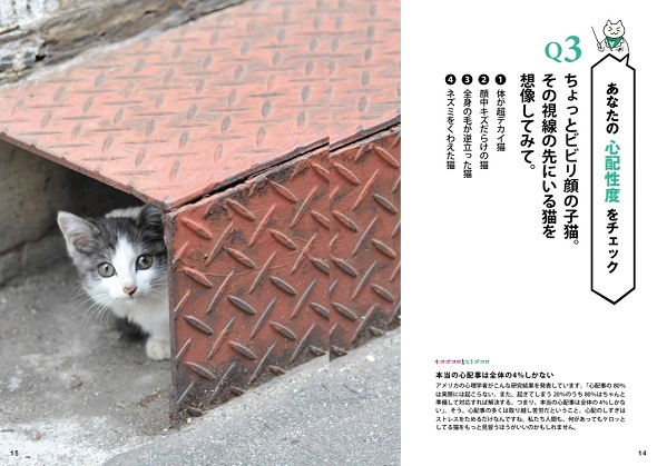 猫の写真から自分の内面が分かる『猫田博士の心理テスト』の第3問