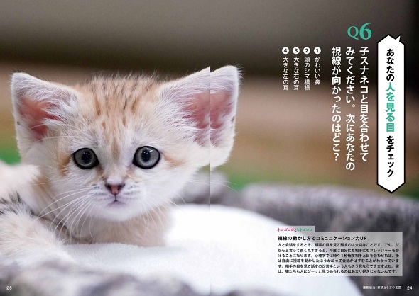 猫の写真から自分の内面が分かる『猫田博士の心理テスト』の第6問で使われるスナネコの写真