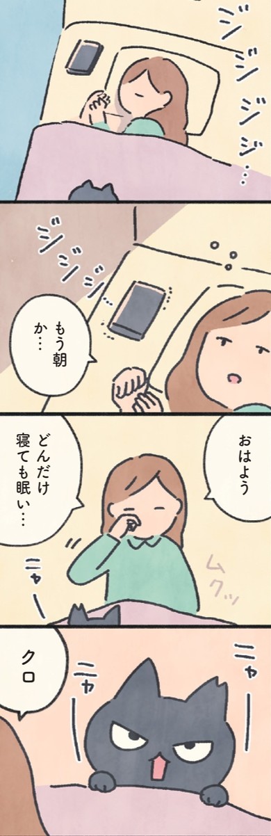 『もしもなんて来ないと思ってた猫』