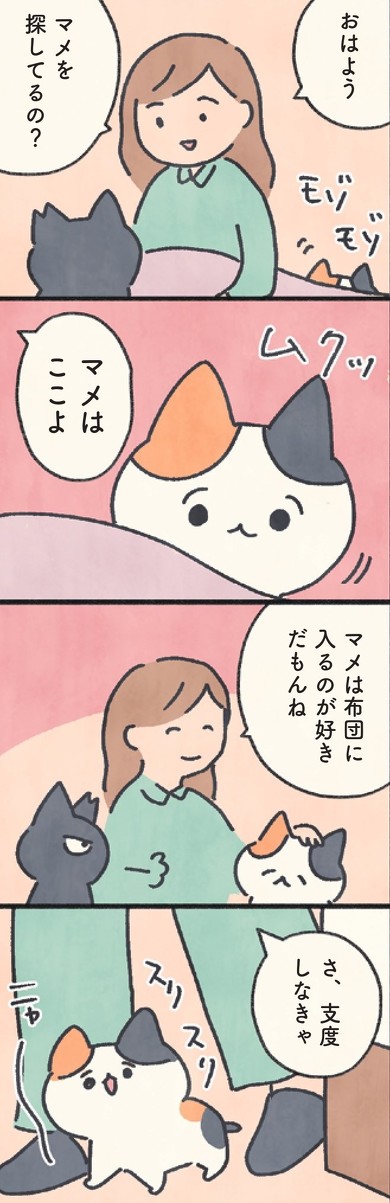 『もしもなんて来ないと思ってた猫』