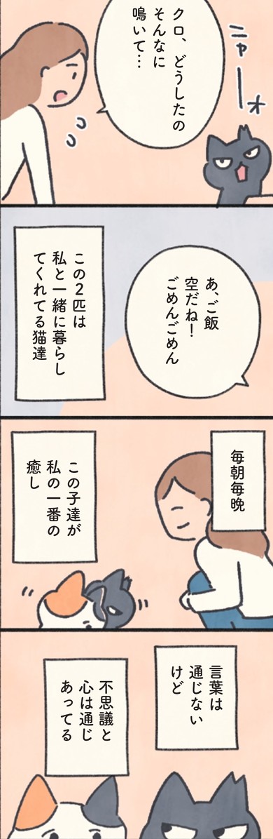 『もしもなんて来ないと思ってた猫』