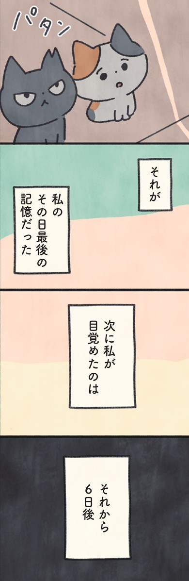 『もしもなんて来ないと思ってた猫』