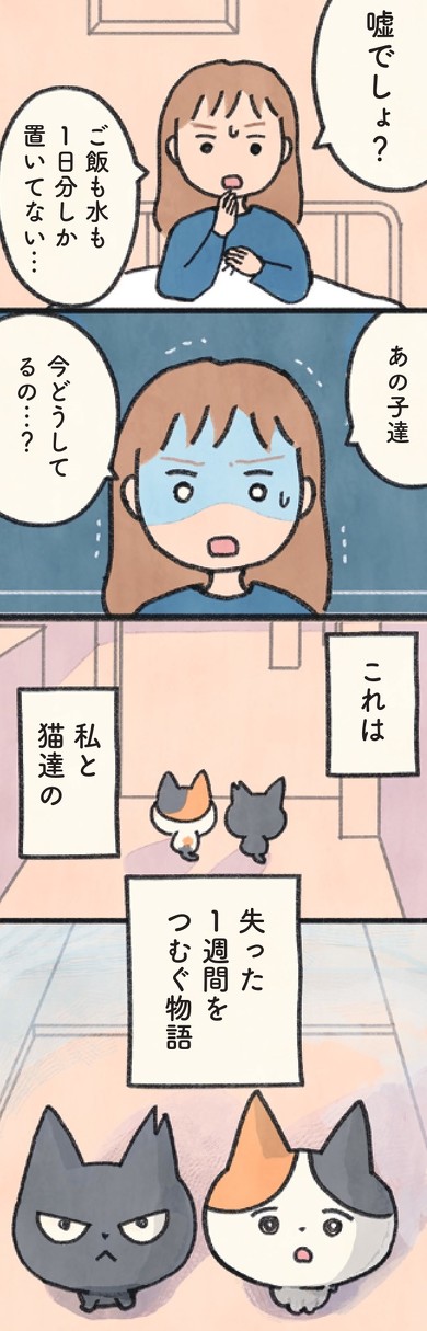 『もしもなんて来ないと思ってた猫』