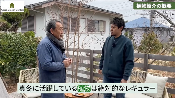 プロによる管理が楽な植物の解説